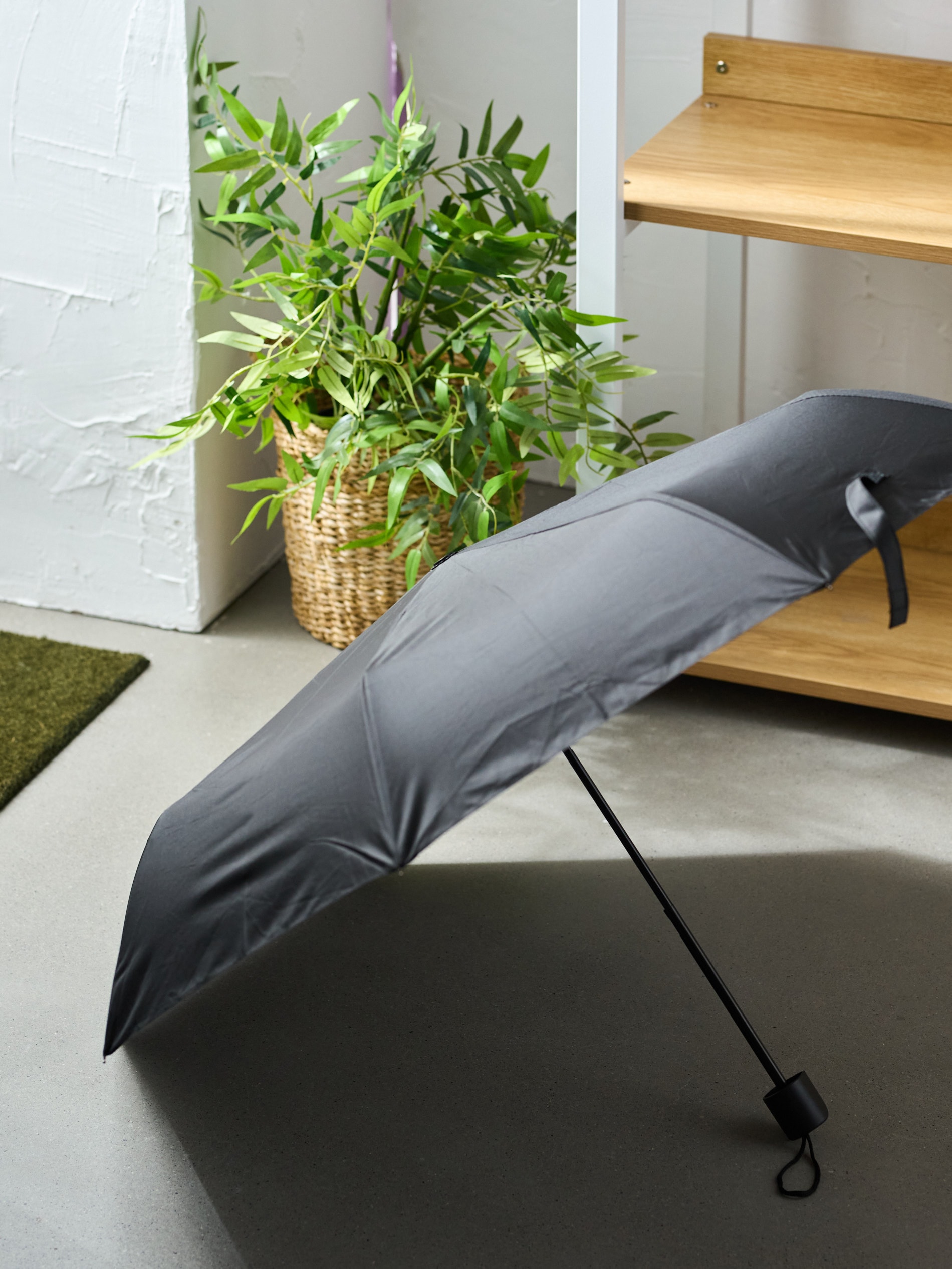 Parasol