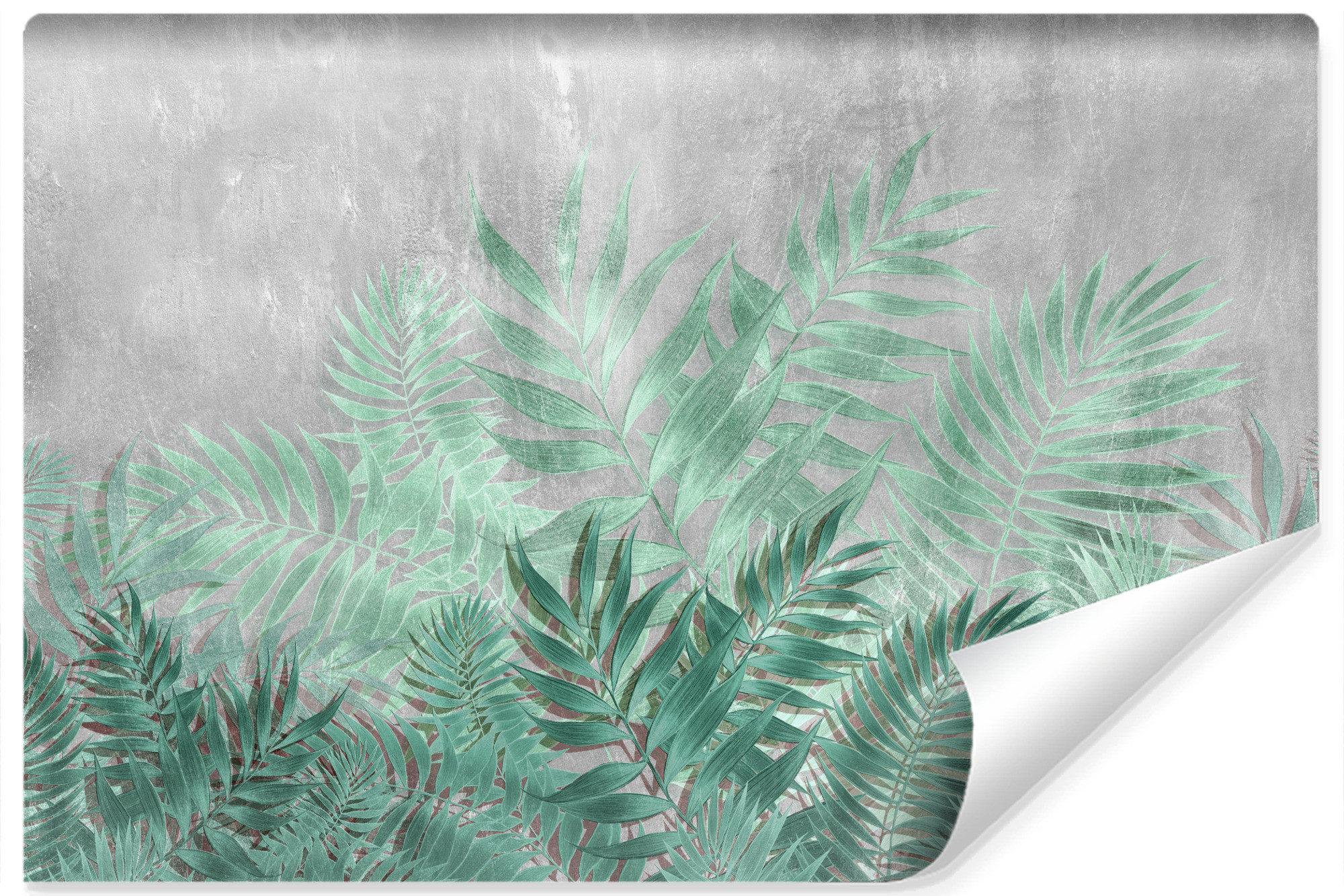 Fototapeta Do Salonu LIŚCIE Beton Natura 90x60cm