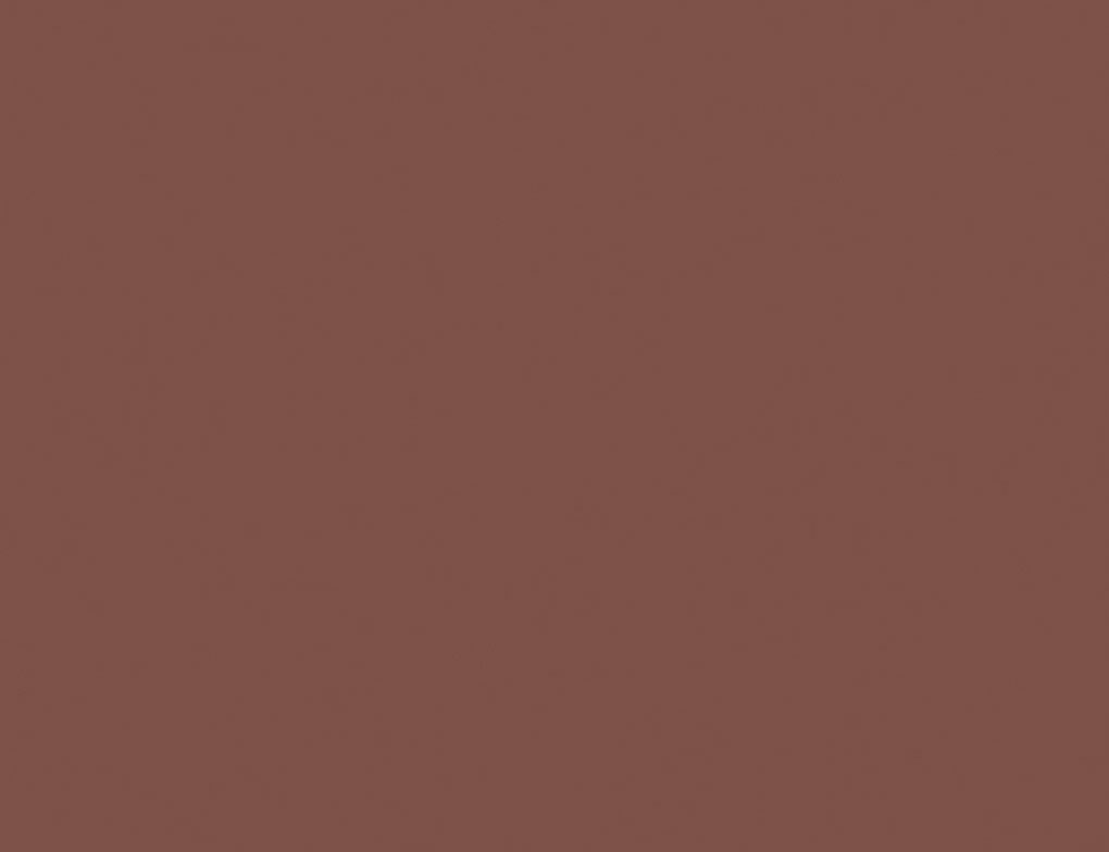 d-c-fix Klebefolie Uni Rusty Red