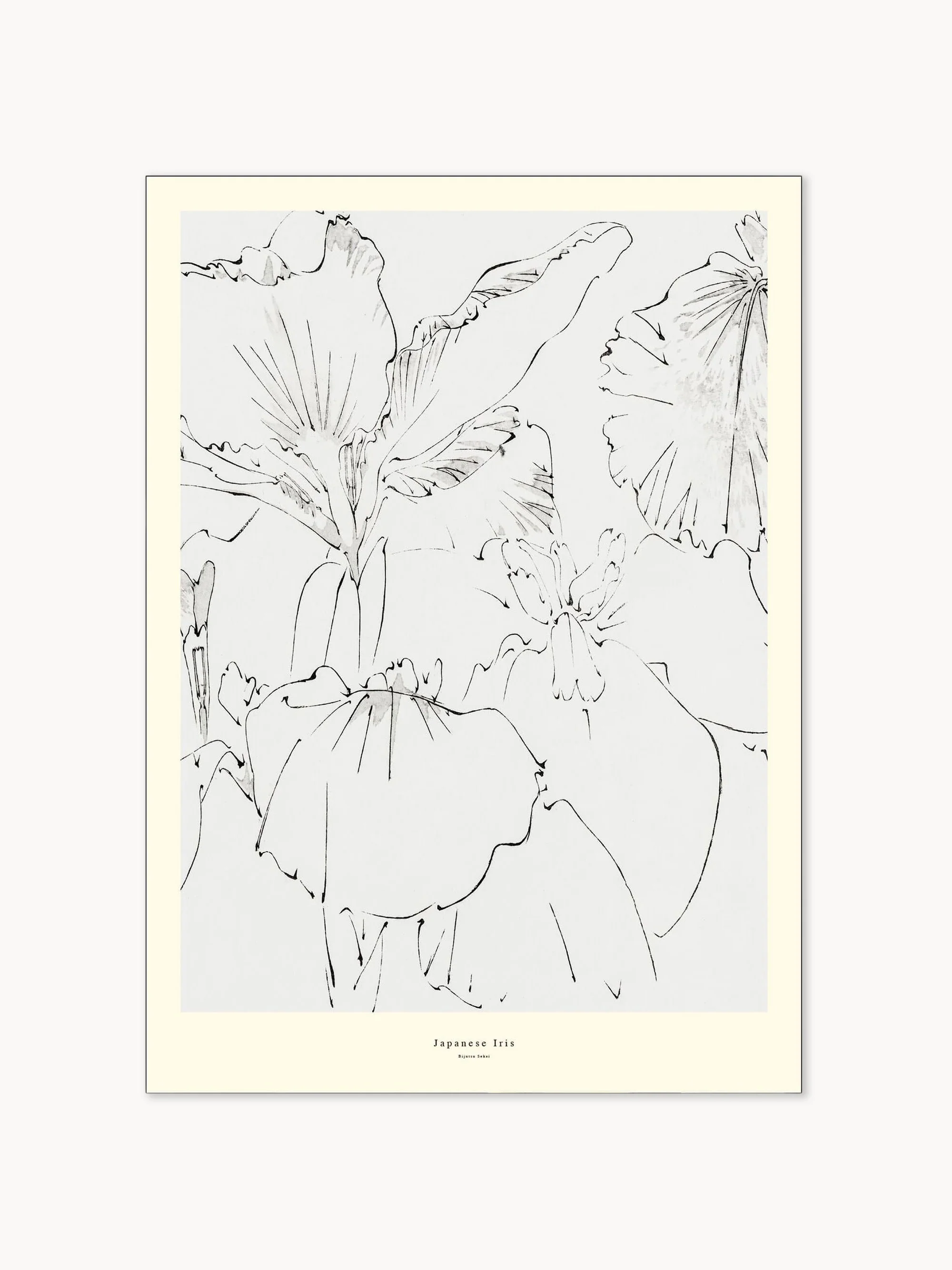 Poster Japanese Iris