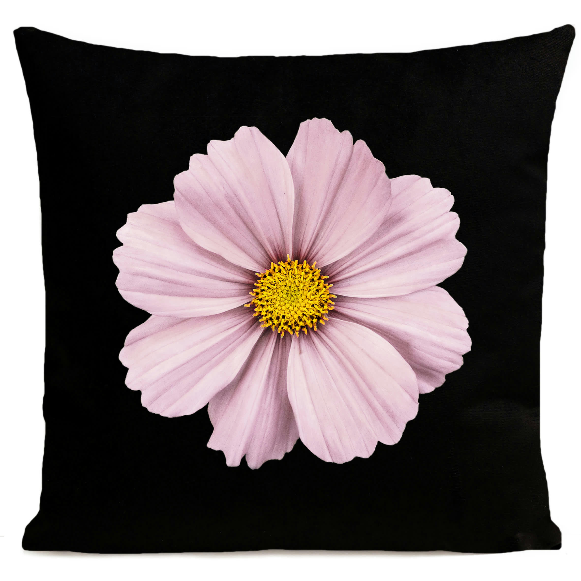- Coussin fleur rose suédine noir 40x40cm