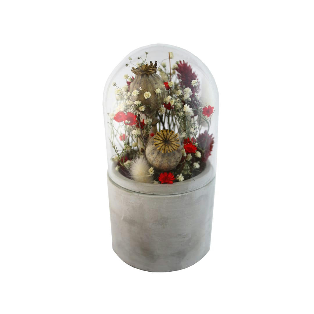 - Cloche de fleurs séchées bleu H.16cm