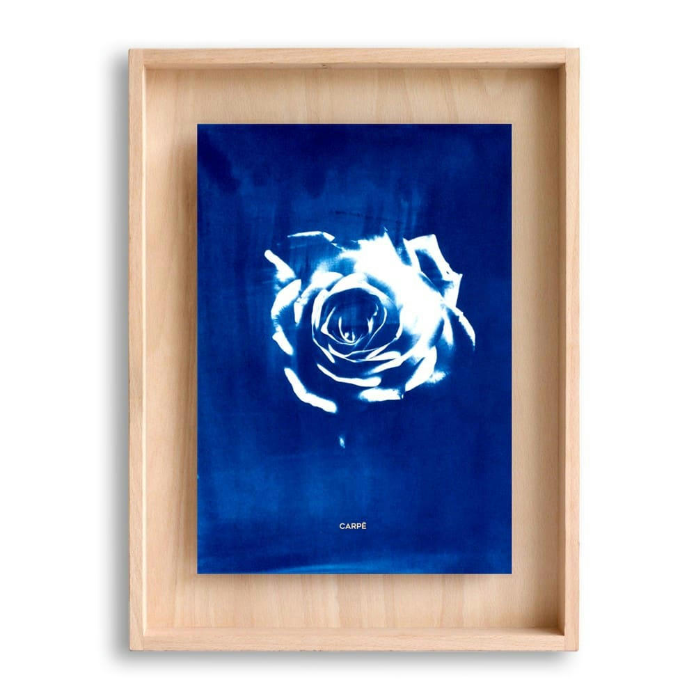 CARPË - Cadre en bois cyanotype rose 40x30cm