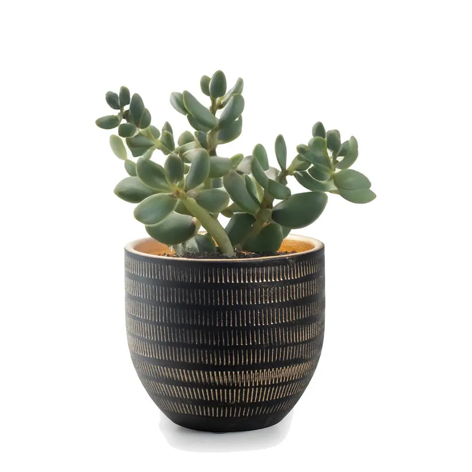 Jodeco Plantenpot/bloempot Beau - zwart/goud - keramiek - 14x16cm