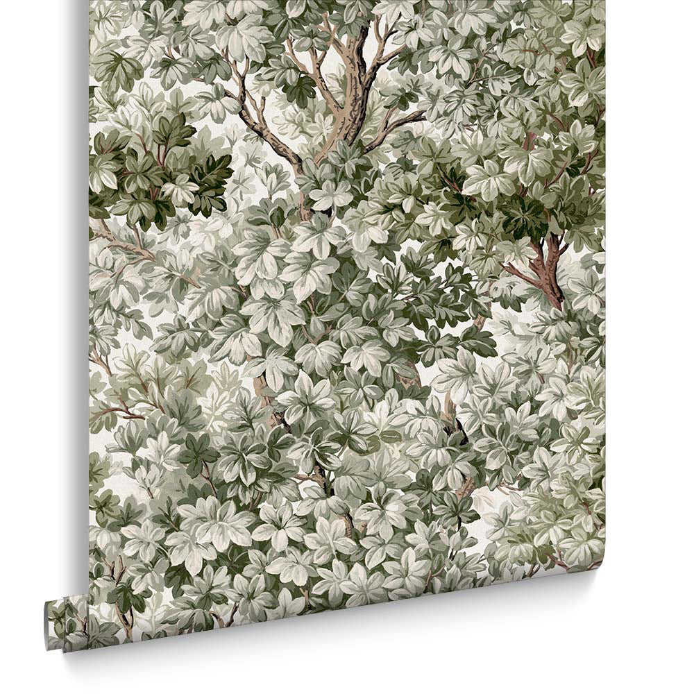 Graham & Brown Vliesbehang - Coppice Sage