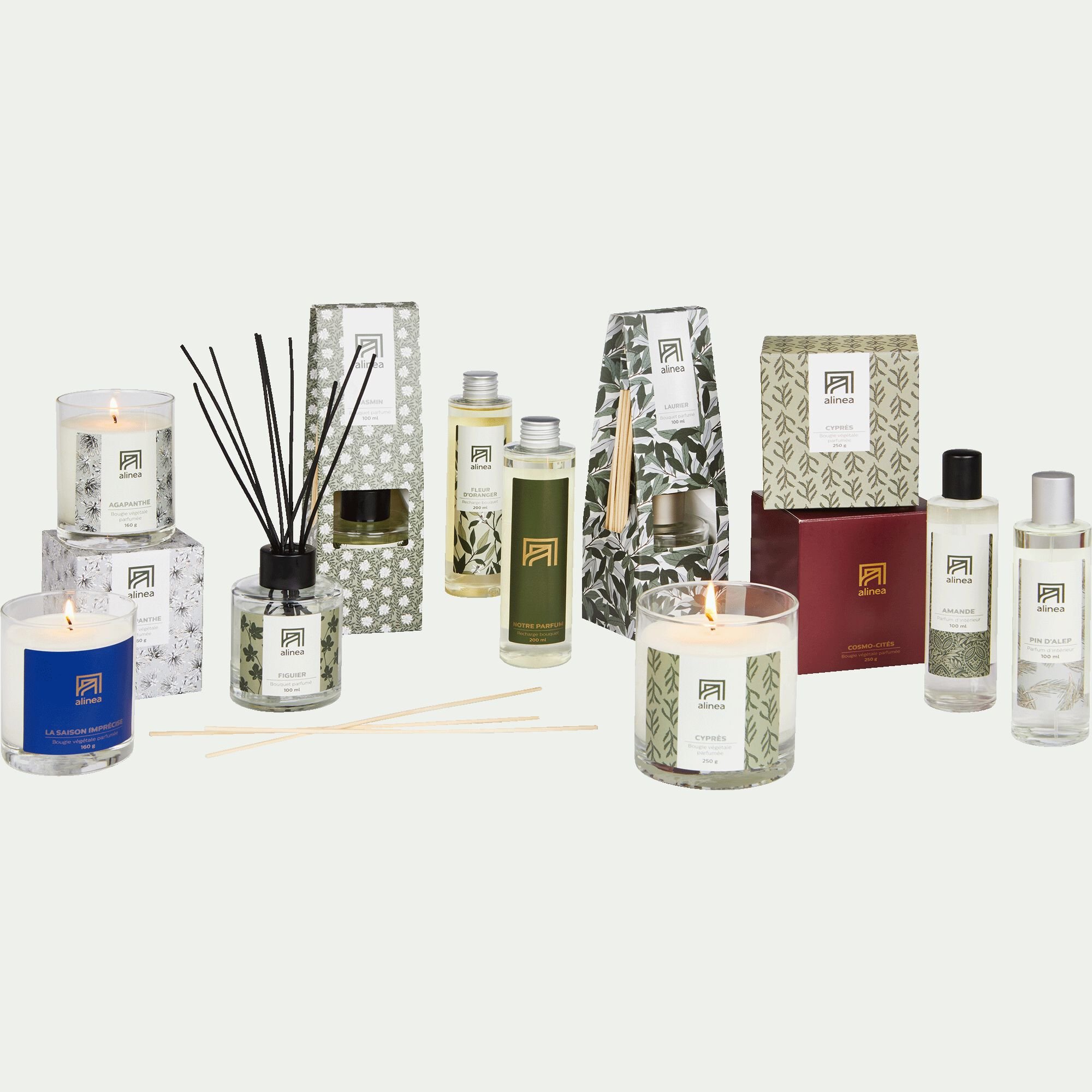 SIGNATURE - Diffuseur de parfum senteur Figuier 100ml