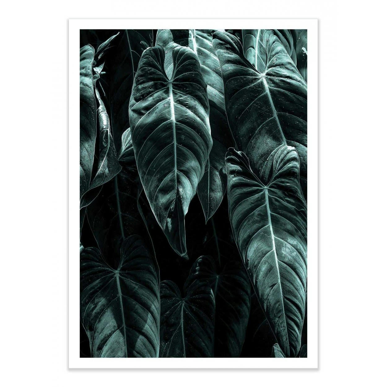 KUBISTIKA - THE JUNGLE - KUBISTIKA - Affiche d'art 30 x 40 cm