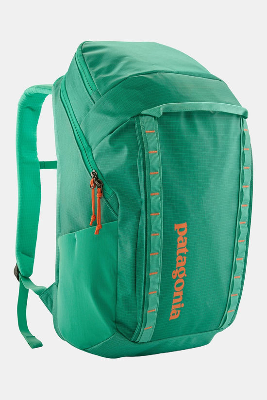 Patagonia Black Hole Pack 32L Dagrugzak