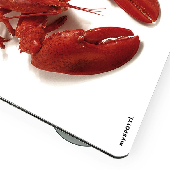 Mini-Spritzschutz »Hummer«, Aluverbund, Hummer