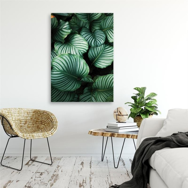 Feeby Obraz na płótnie Tropikalne liście 40x60