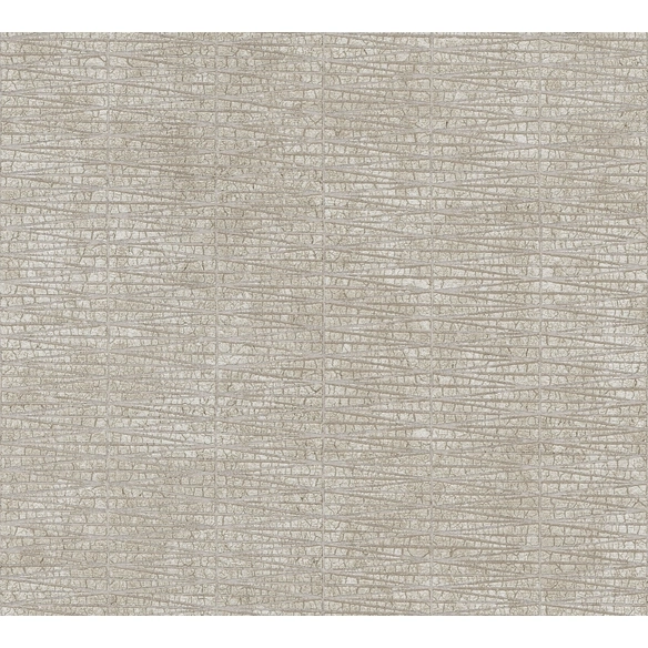 Vliestapete, BxL: 53 x 1005 cm, taupe