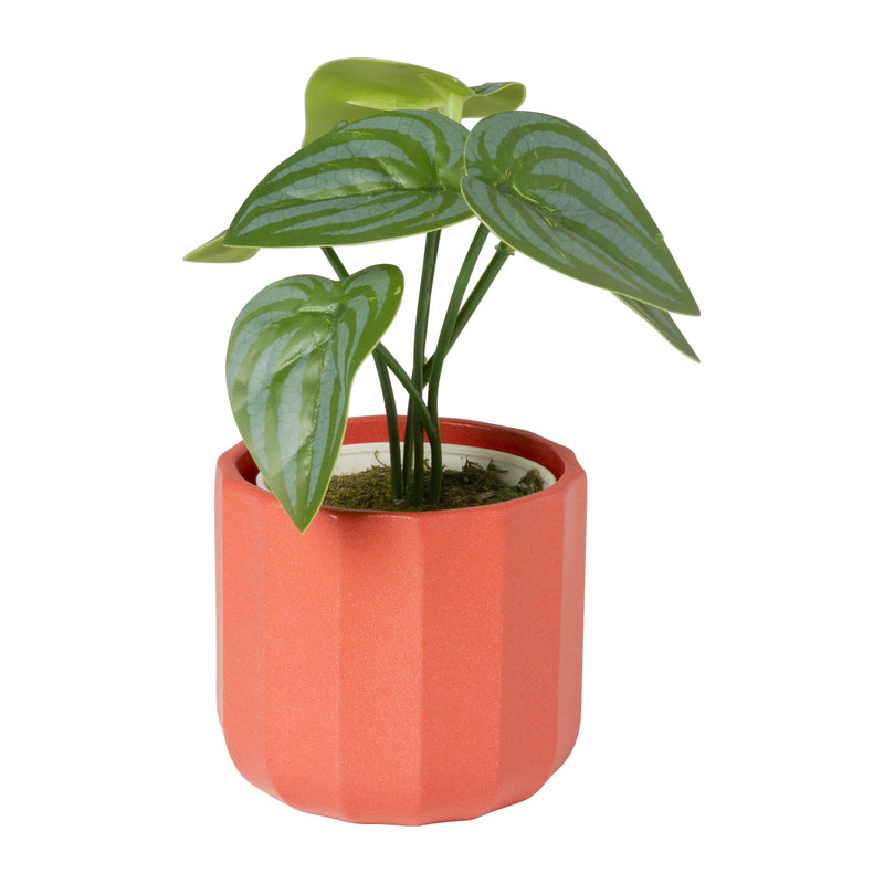 Bloempotje streep - rood - &Oslash;7x6.5 cm