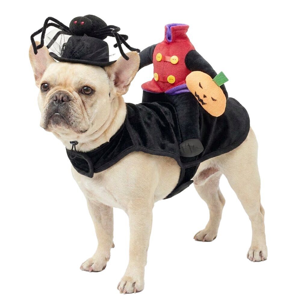 Chapeau pour animal déguisement Halloween araignée noir Ø13,5xH11,5cm