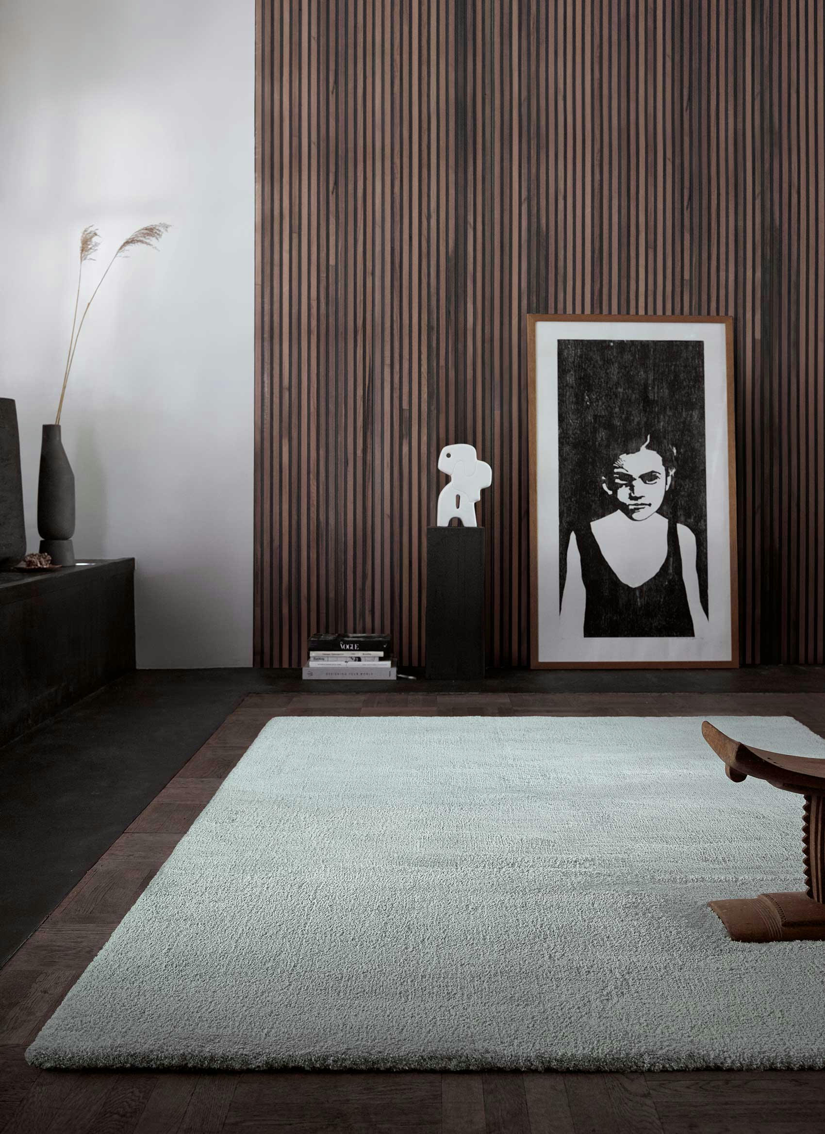 VANESSA - Tapis doux polyester microfibre gris souris 80x150