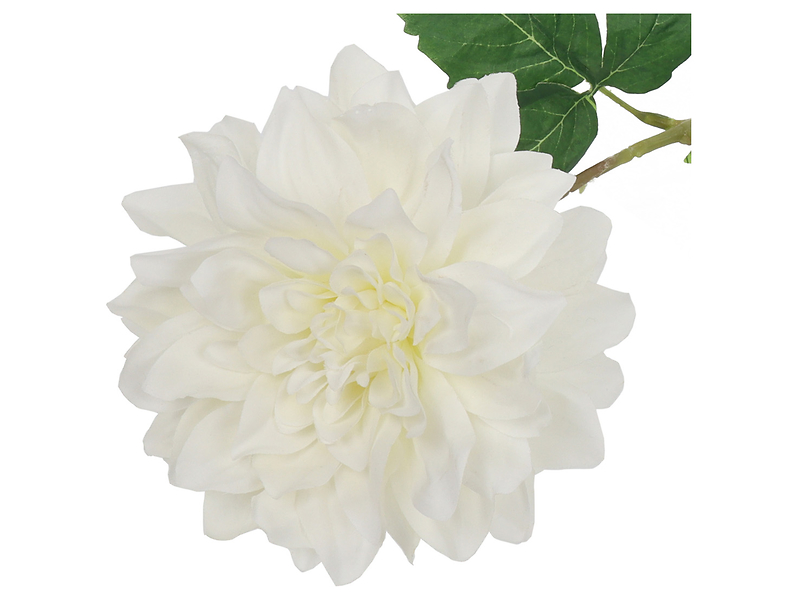 Dalia pojedyncza 65 cm biała