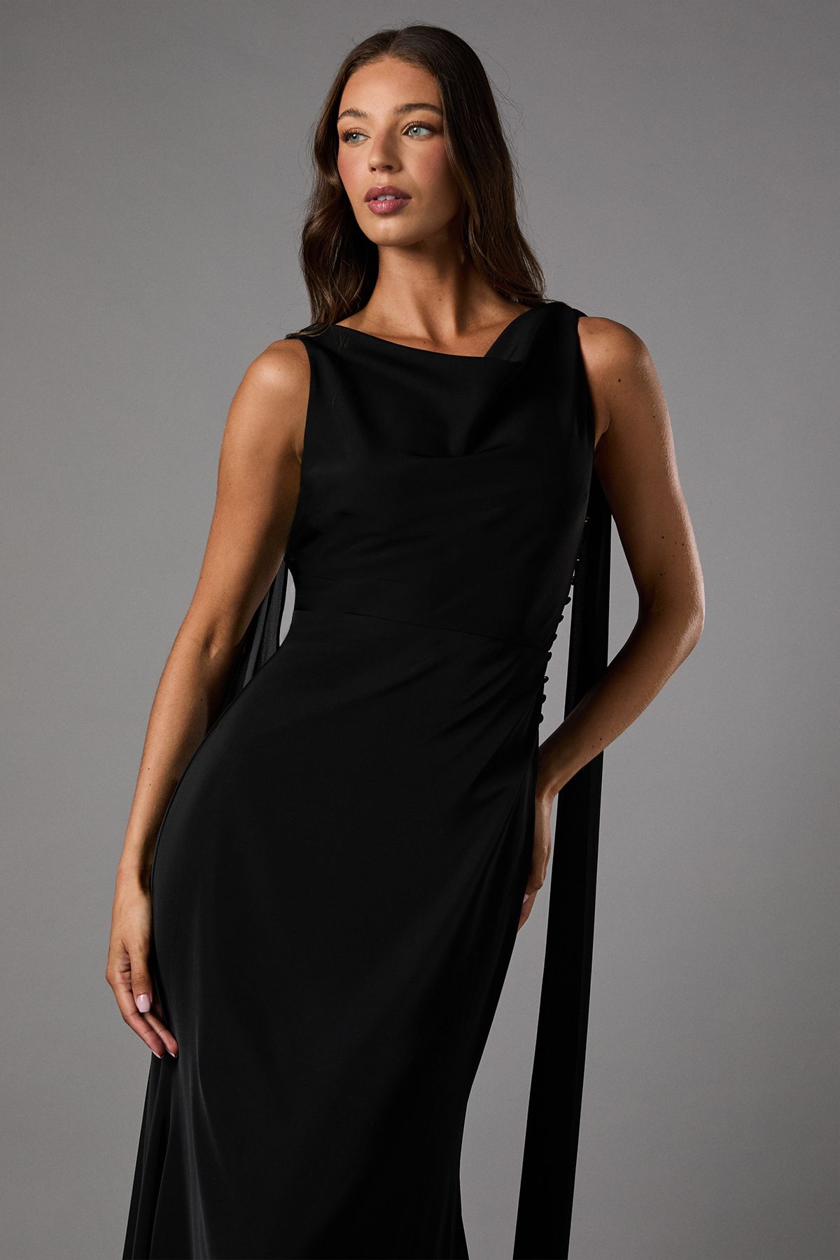 Coast Chiffon Detail Cowl Back Crepe Maxi Dress