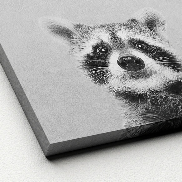 Keilrahmenbild »Young racoon«, Rahmen: Holzwerkstoff, natur