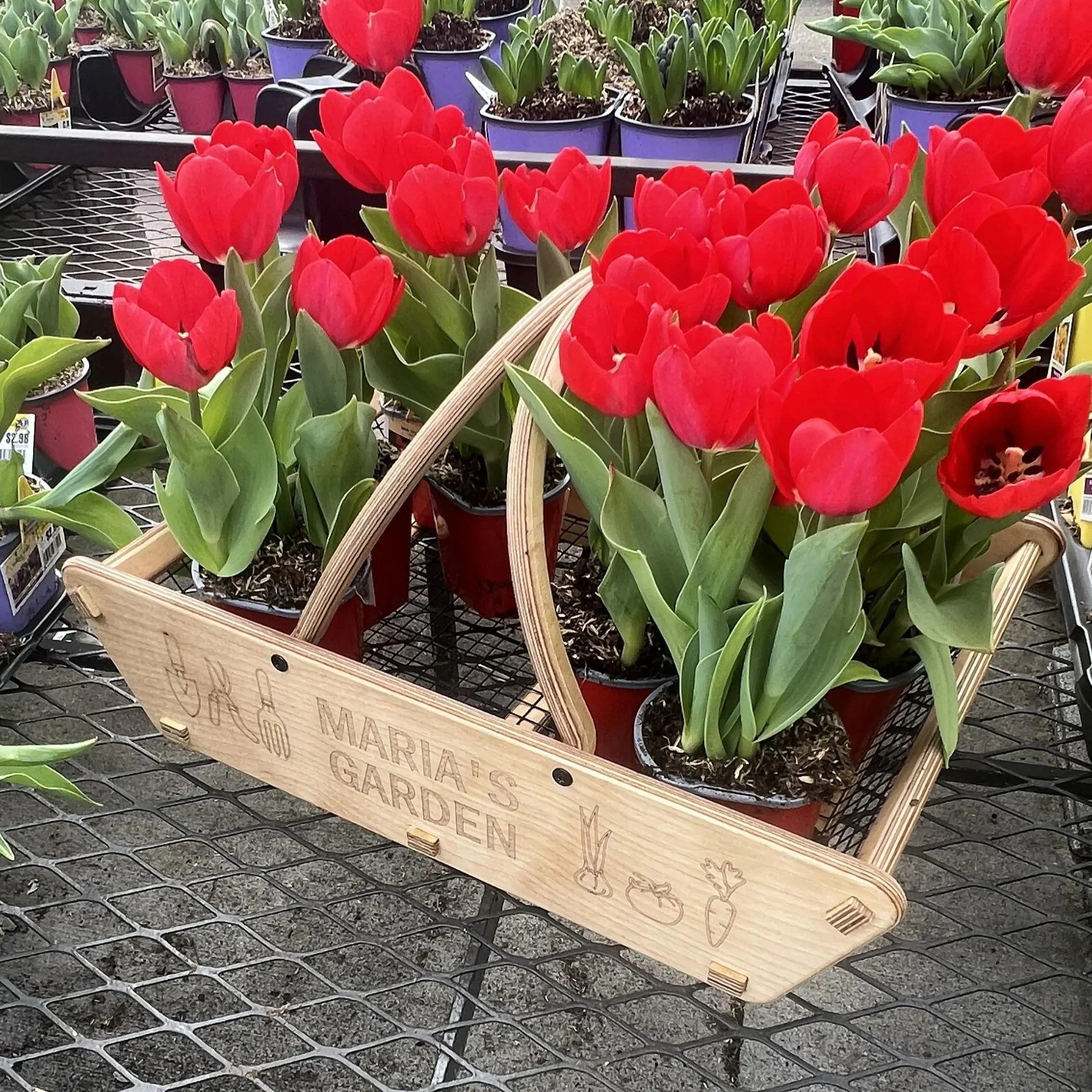 Personalized Harvest Basket, 2 Sizes, Garden Basket, Gardener, Dad Garden Gift, Vegetable Garden, Father's Day Gift