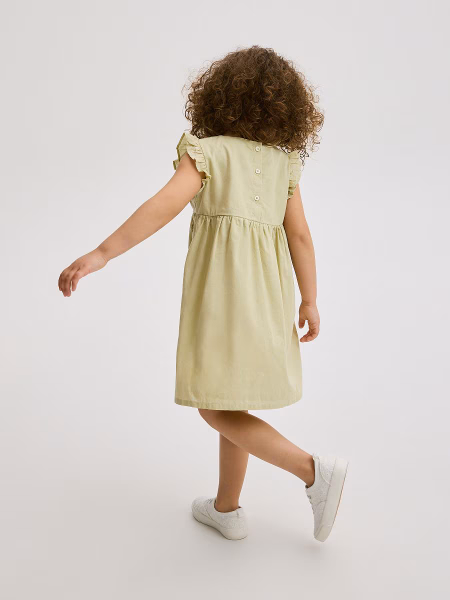 Ladies Dress
