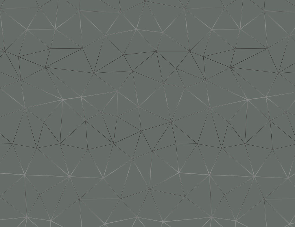 d-c-fix Klebefolie Tico Silver