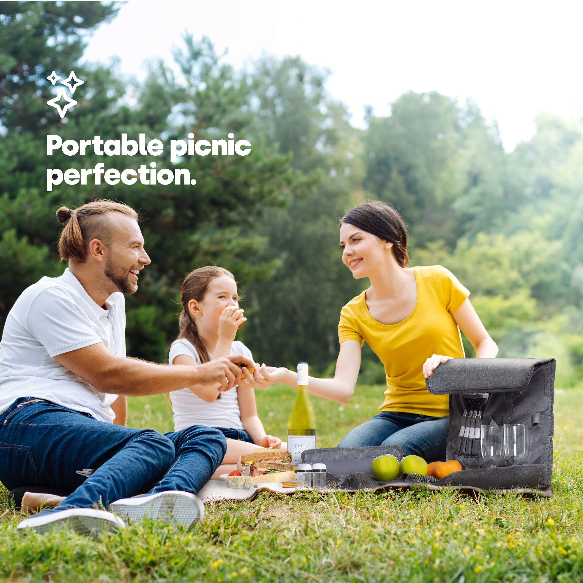 LIVIVO 4 Person Picnic Briefcase Bag with Tableware Set