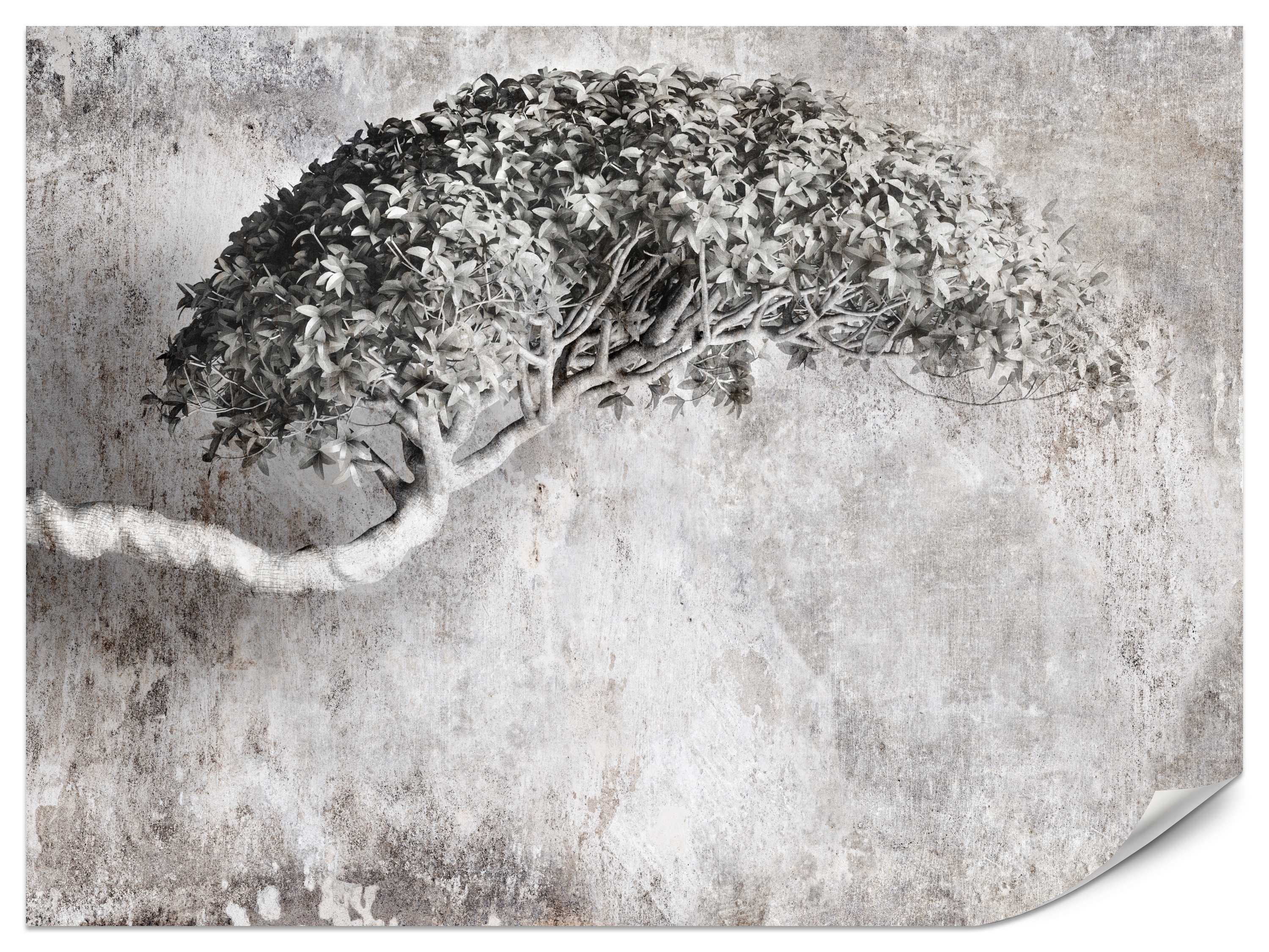 Fototapeta Abstrakcyjne drzewo na betonie 100x70cm