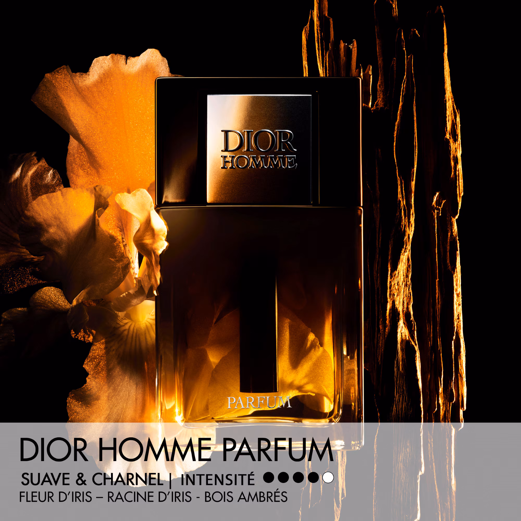 DIOR HOMMEParfum - notes ambrées, boisées et fleuries