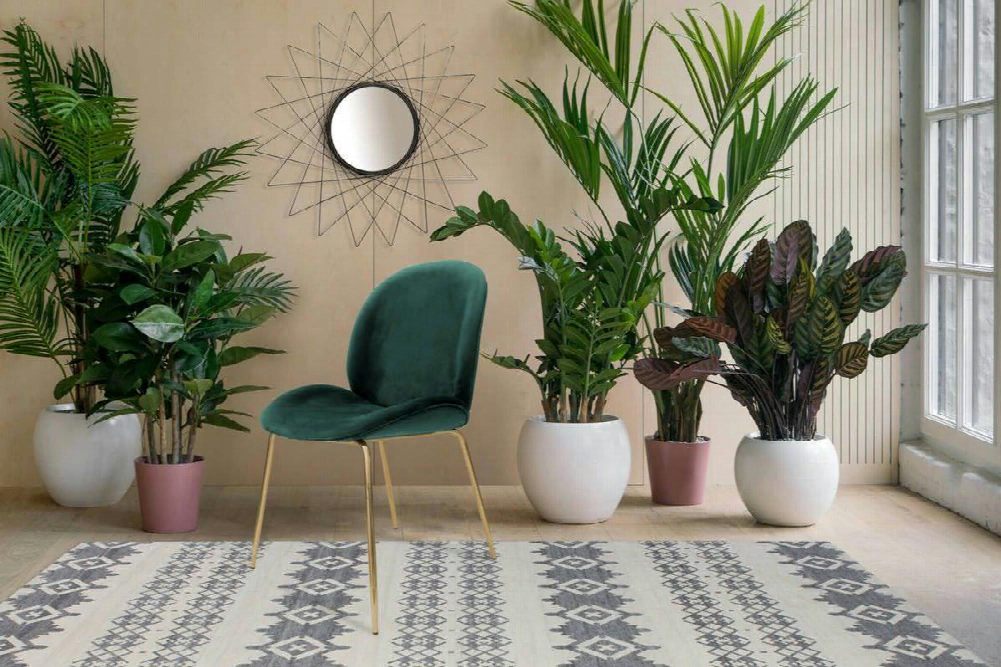 CHARLIZE - Chaise Métal Vert H. assise 47 cm