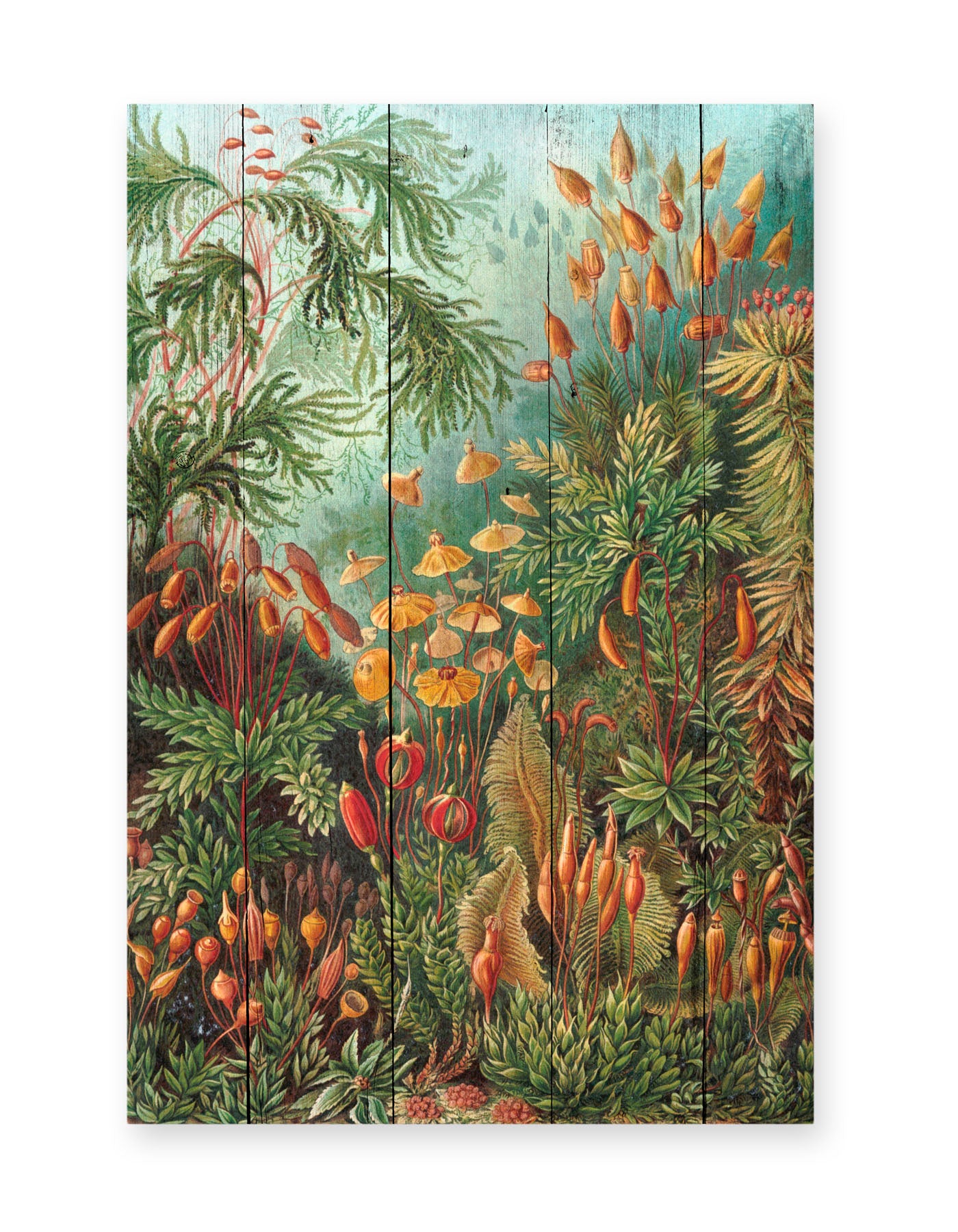 Really Nice Things - Paneel - 60x40 cm - Deep Forest