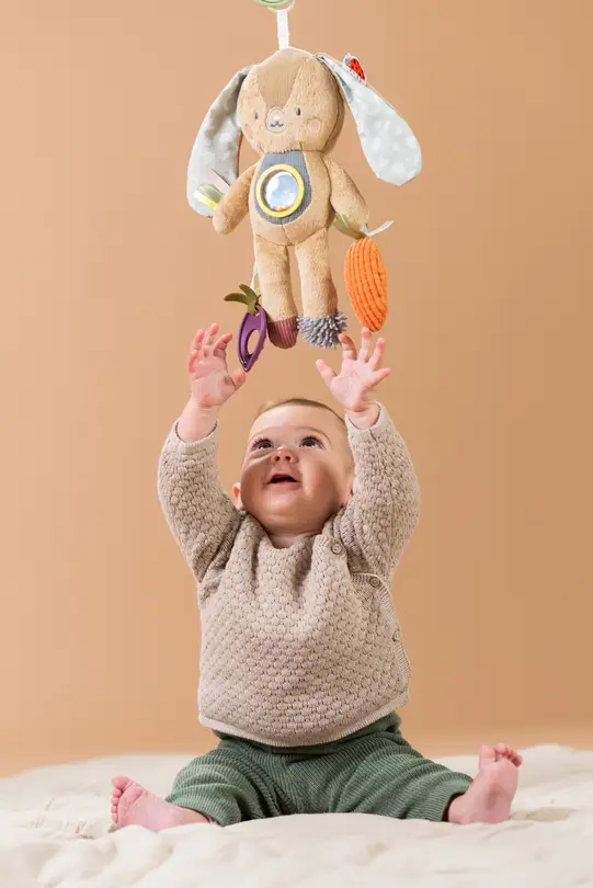 Spielzeug Taf Toys