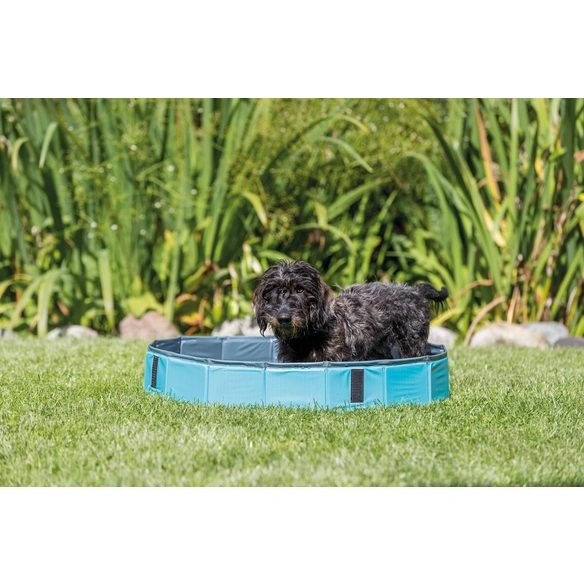 Hundepool, Ø: 70 cm, blau