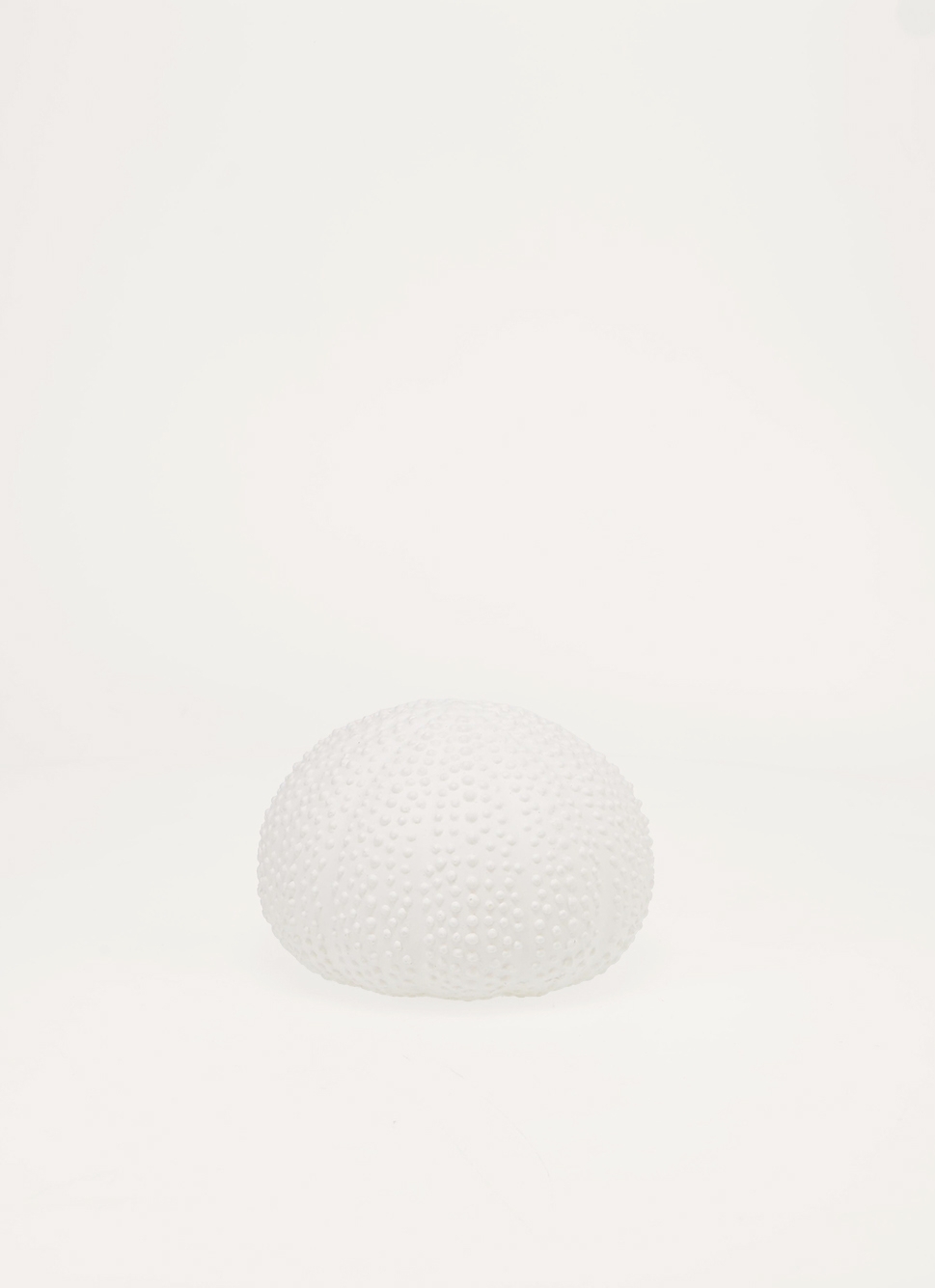 OURSIN DÉCORATIF BLANC