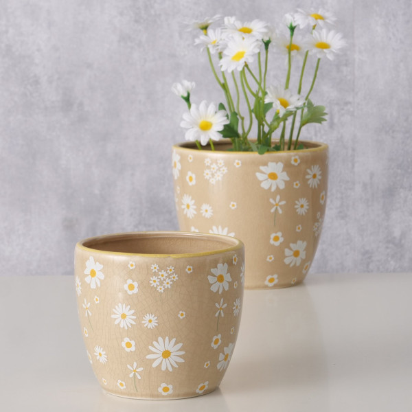 Ceramiczny Zestaw Donic Honey Beżowy z Stokrotkami