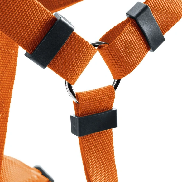 Geschirr »London«, XXS/3, Polyester, orange