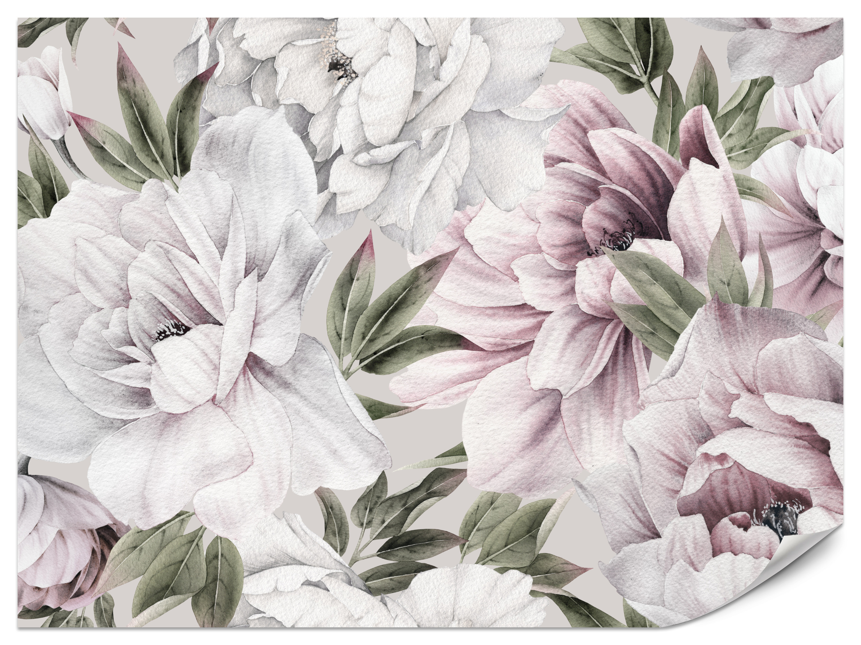 Fototapeta Liliowe peonie 100x70cm
