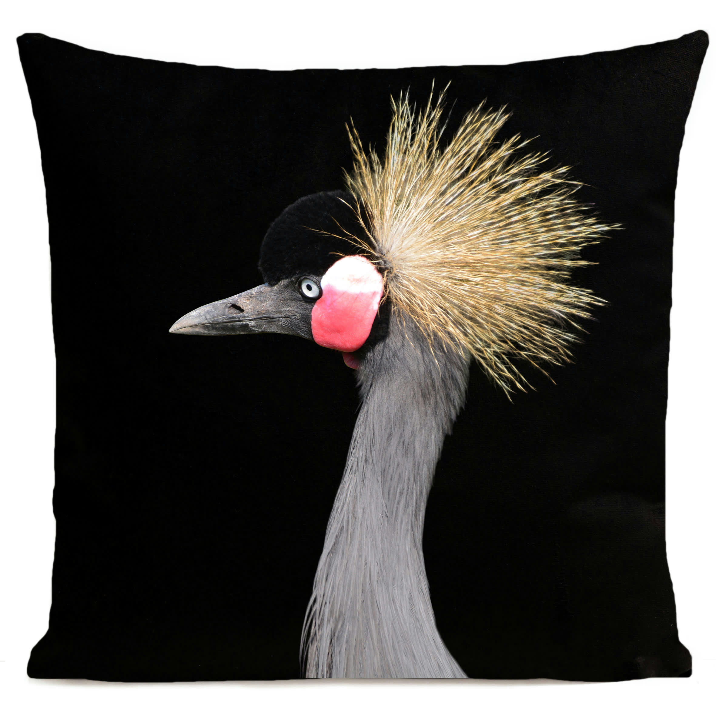 - Coussin campagne oiseau suédine noir 40x40cm