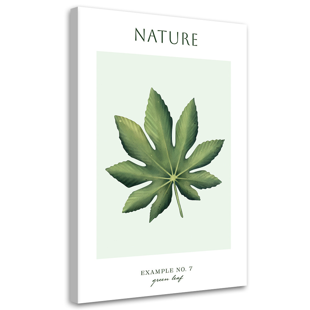 Feeby Obraz na płótnie, Zielony liśc - Natura 40x60