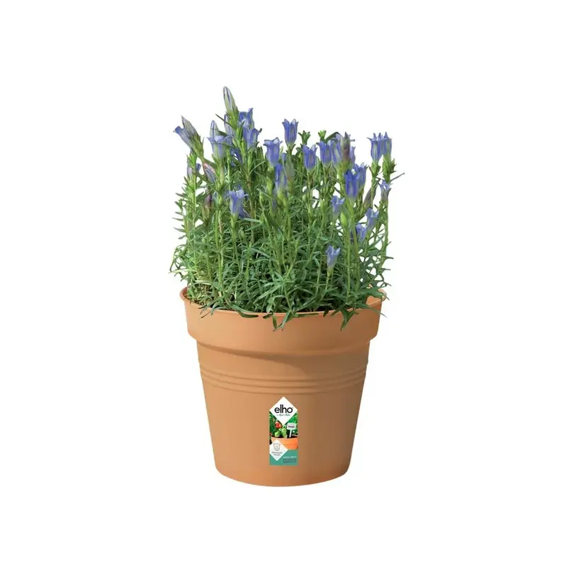 Blumentopf green basics