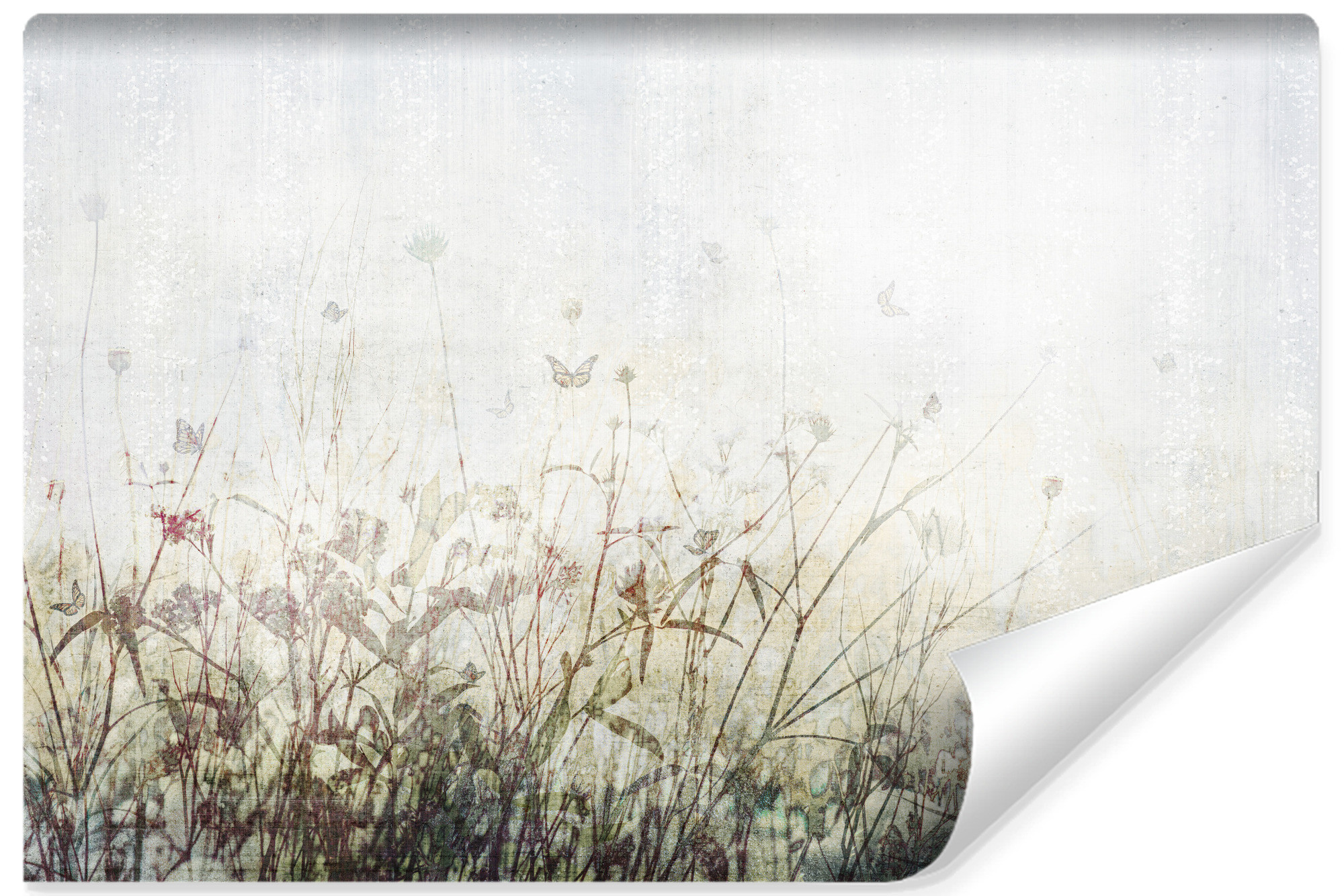 Fototapeta Kwiaty Polne Na Betonie 90x60cm