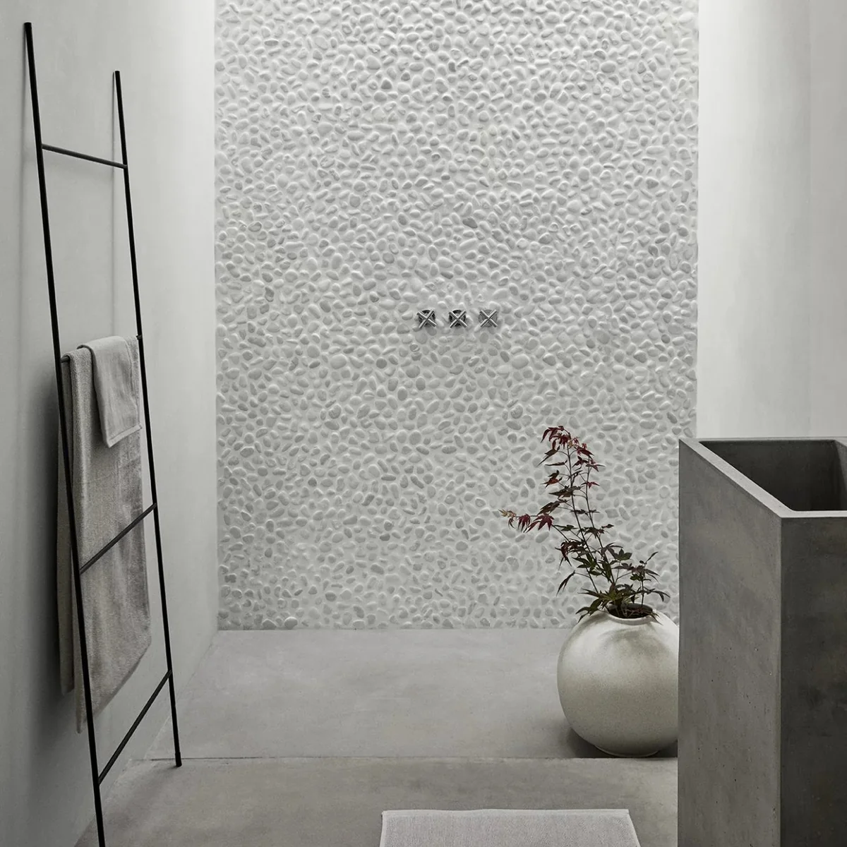 Blomus - Fera Handtuchleiter, H 165 cm, schwarz