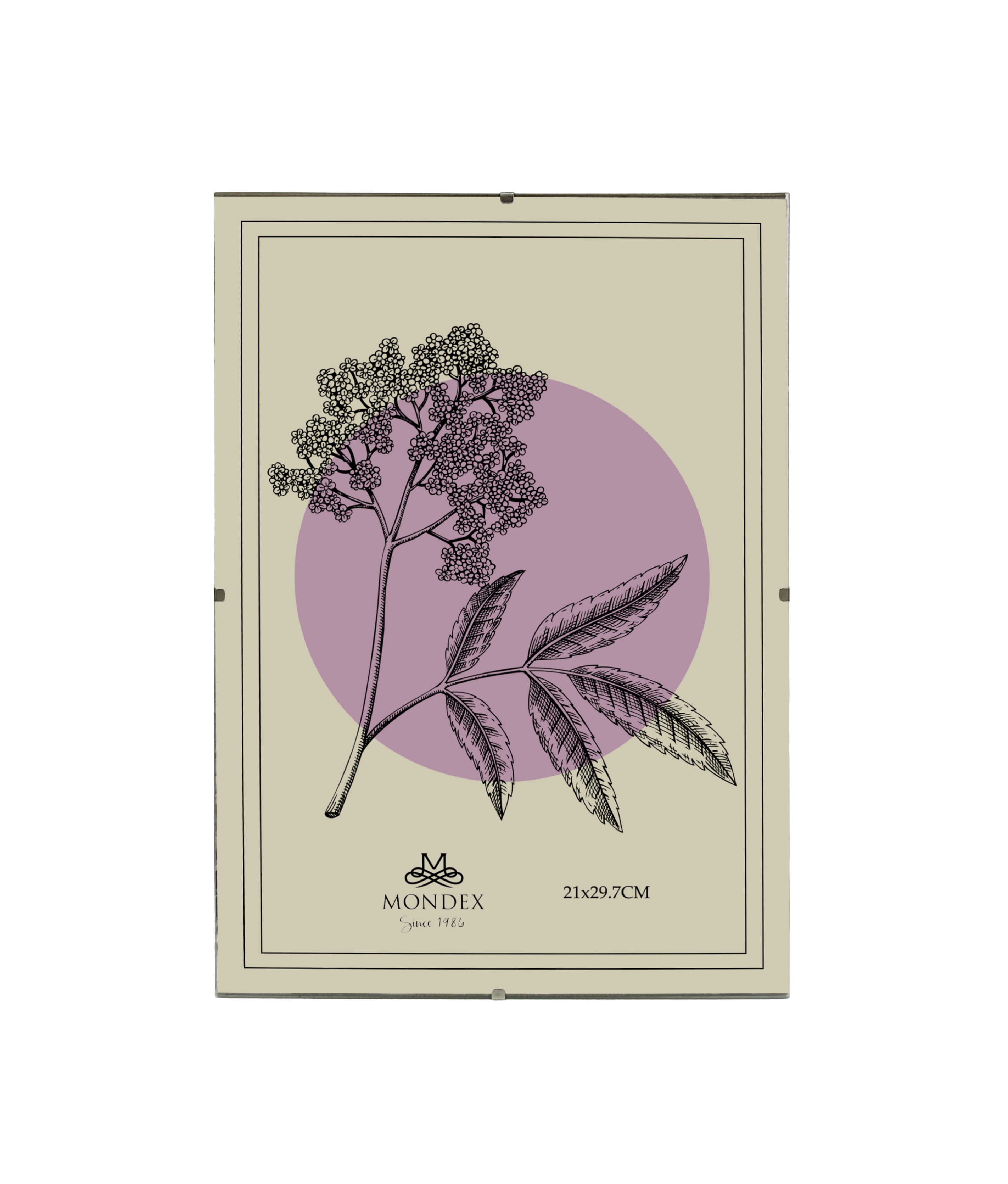 ADI Ramka 21x29,7cm Antyrama