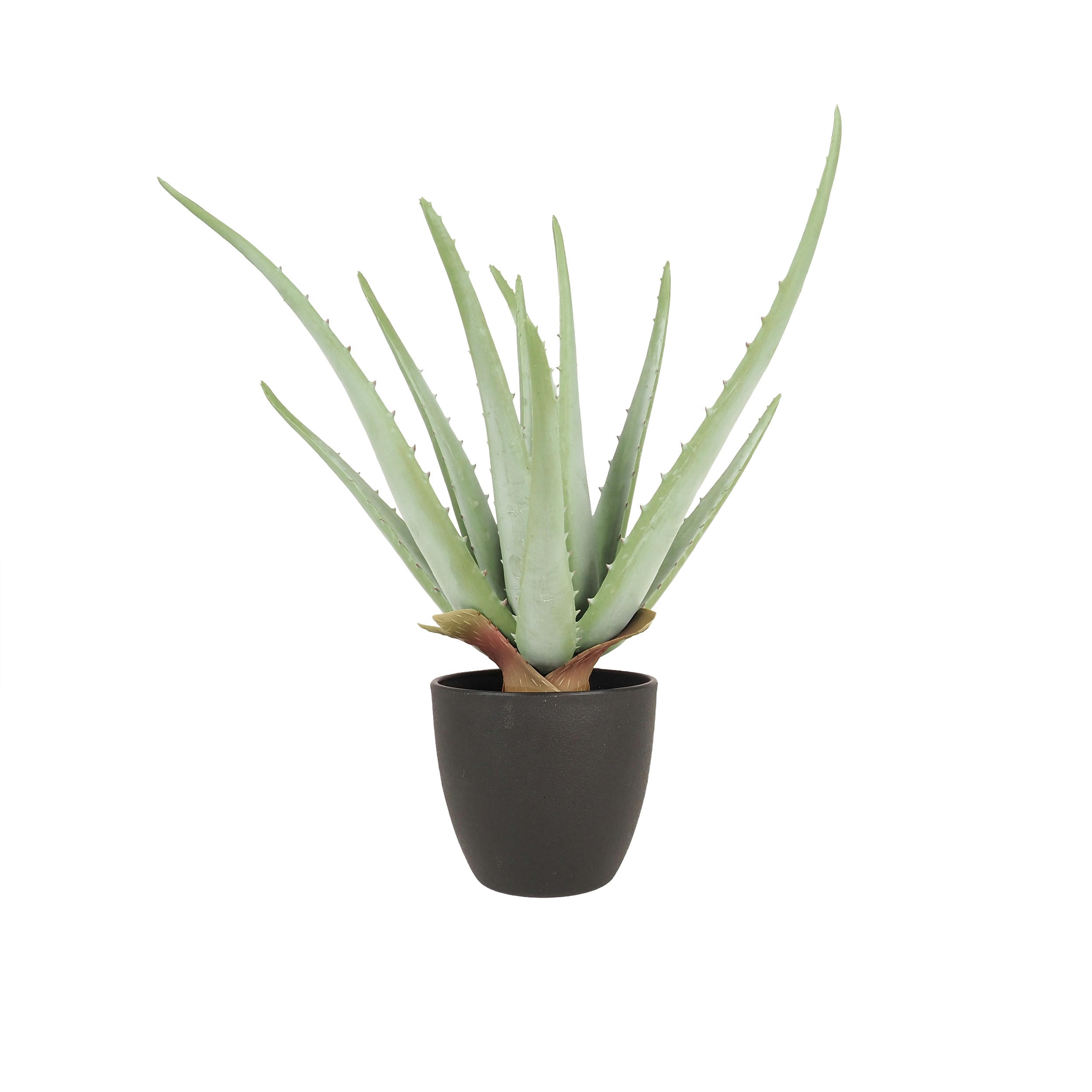 - Aloe vera artificiel 35cm