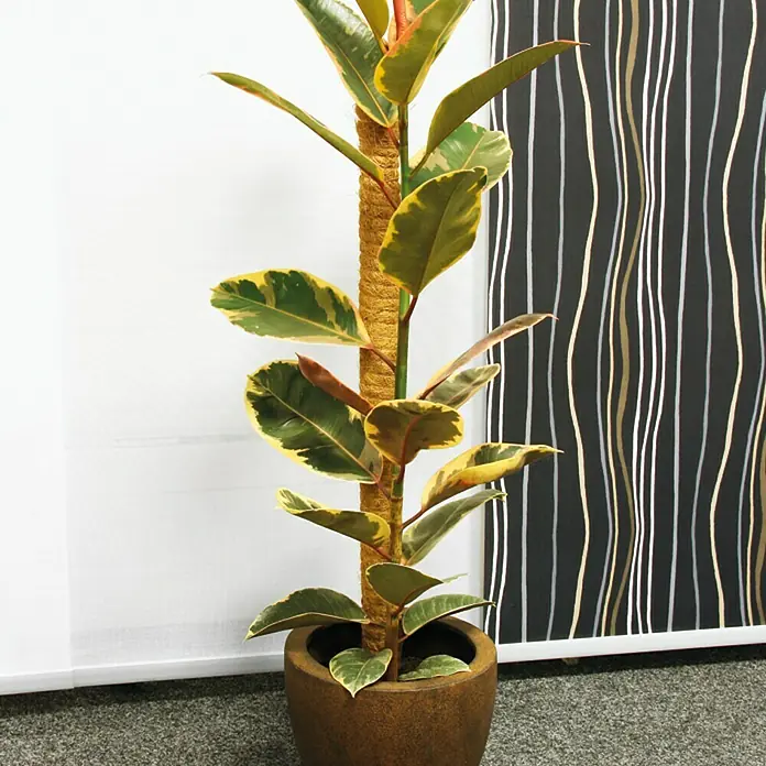 PLANTESTØTTE BELLISSA KOKOSSTOKK 110 CM