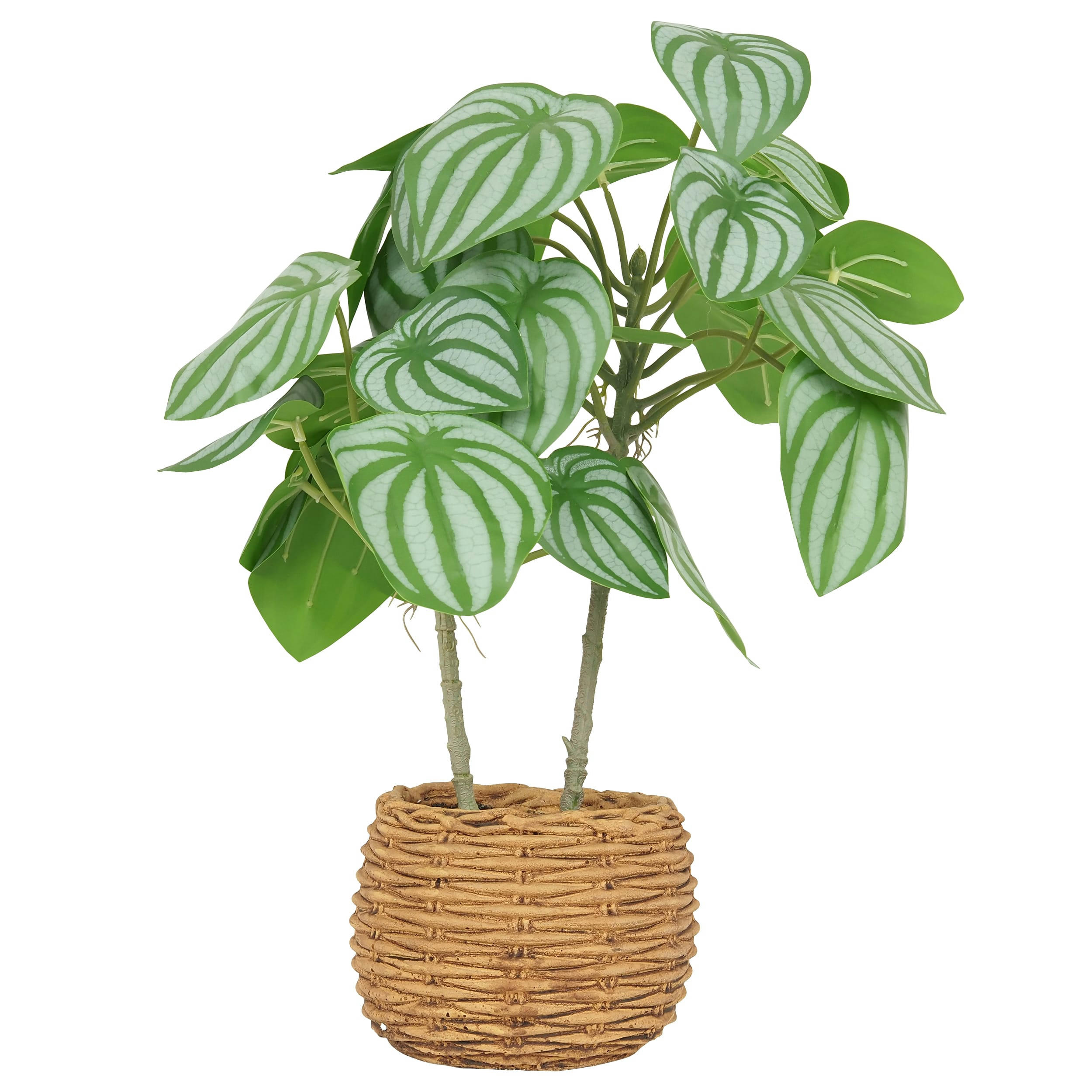 - Peperomia artificiel pot effet cannage 40cm