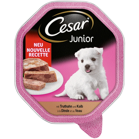 Hunde-Nassfutter »Junior«, Truthahn/Kalb, 1x Cesar Junior Truthahn mit Kalb