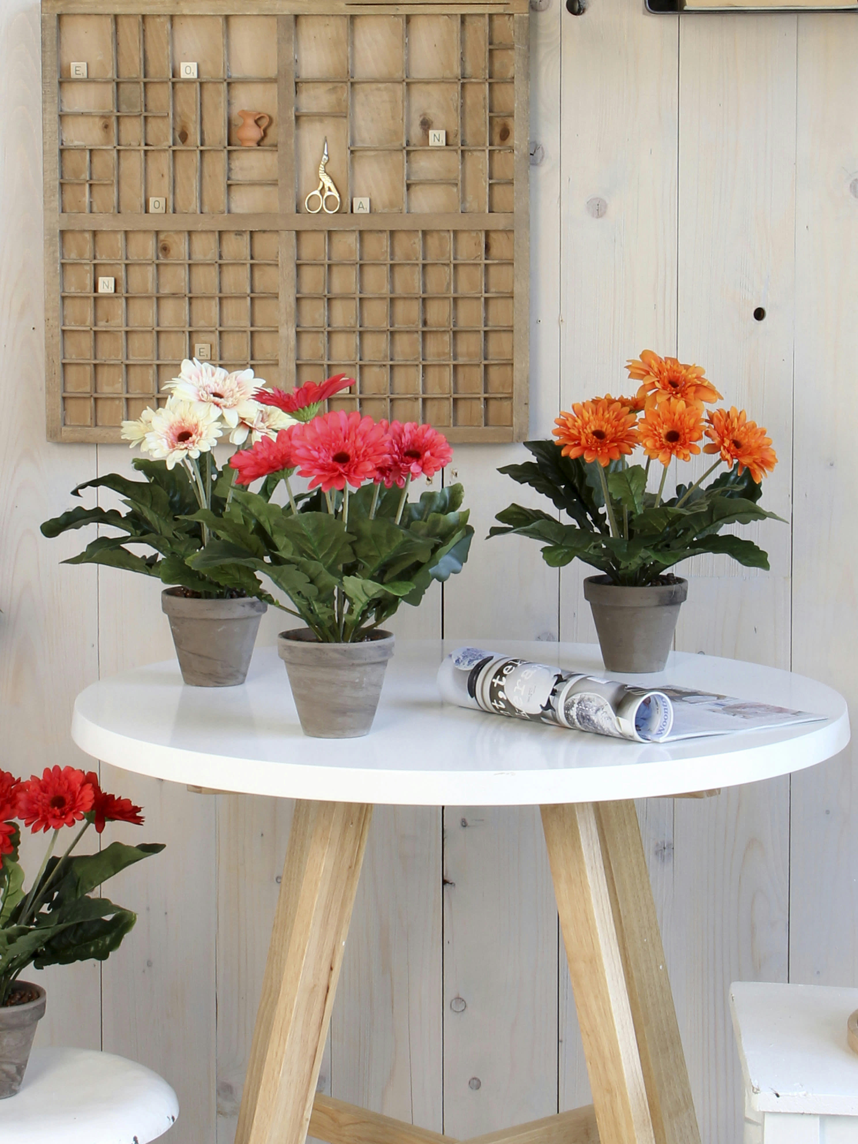 - Gerbera artificielle crème en pot H35