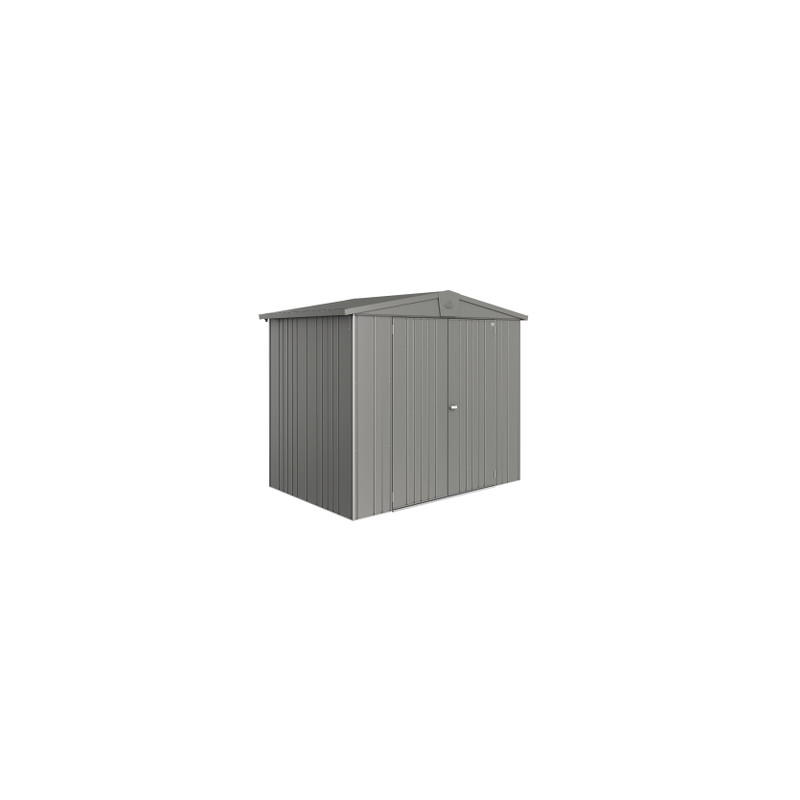 Abri de jardin en métal Europa gris métallisé 2,44 x 1,56 x 2,03 m BIOHORT