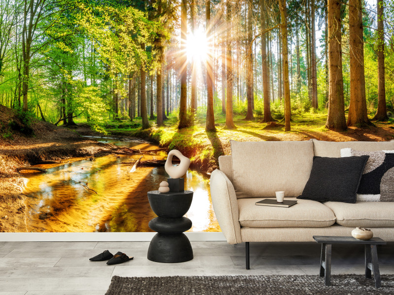 Fototapeta Słoneczny las v2 100x70cm