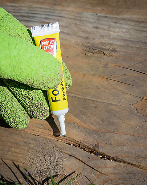 Anti fourmis Protect Expert tube concentré 4g