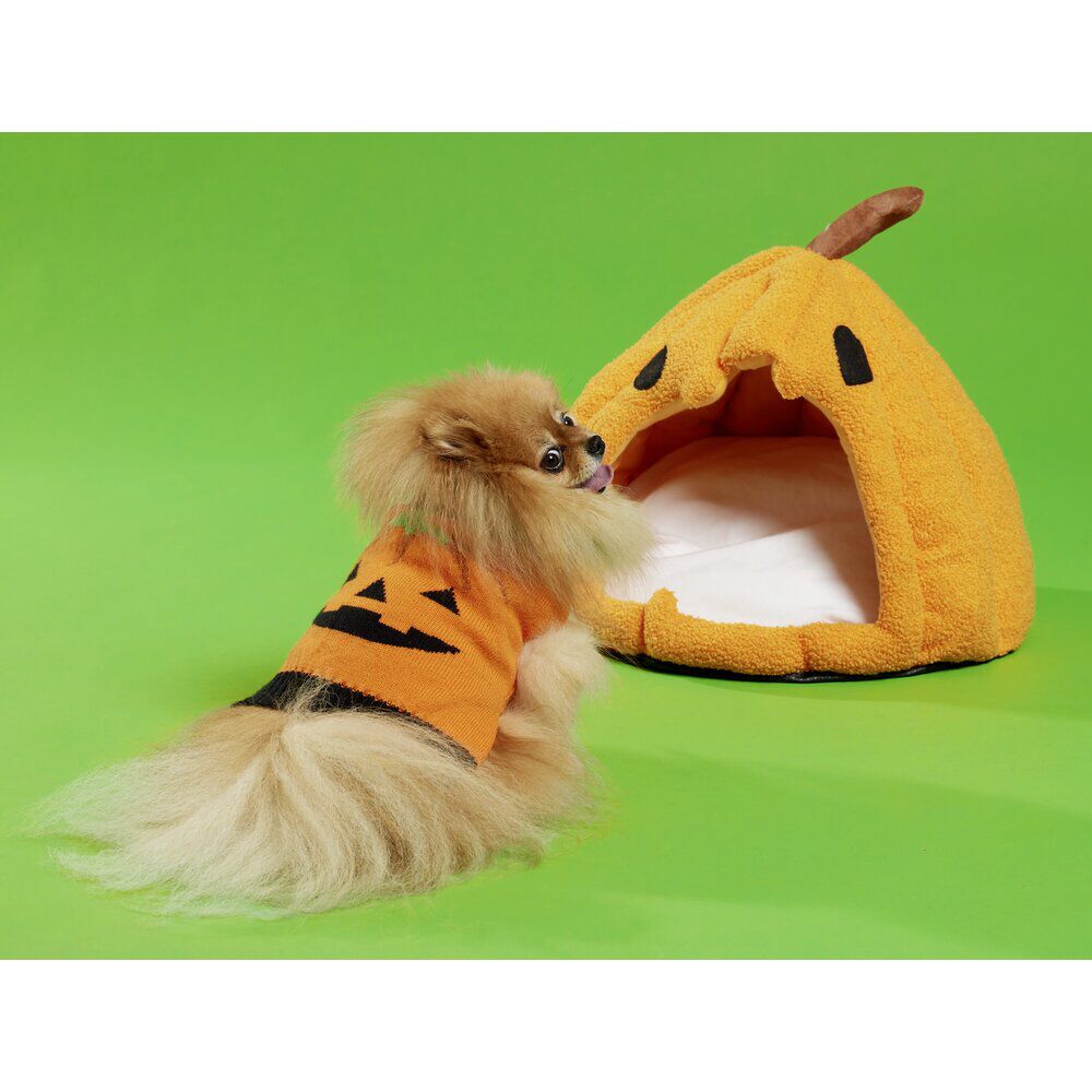 Niche animaux forme citrouille orange Ø38xH34cm